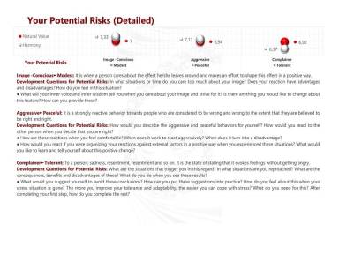 Your Potential Risks (Detailed)