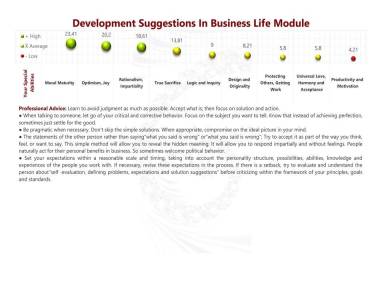 Development Suggestions In Business Life Module