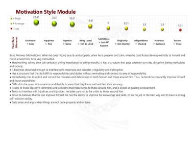 Motivation Style Module