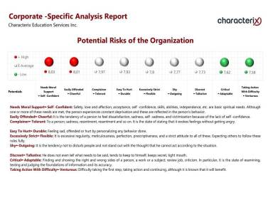 Potential Risks of the Organization
